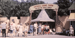 AMERICAN ZOO